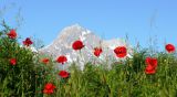 Aburzzen Corno Grande Gran Sasso CC0 at pixabay
