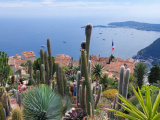 Jardin Exotique in Éze © Ariane Hackstein