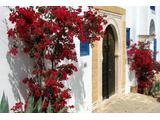 Sidi Bou Said CC0@pixabay 